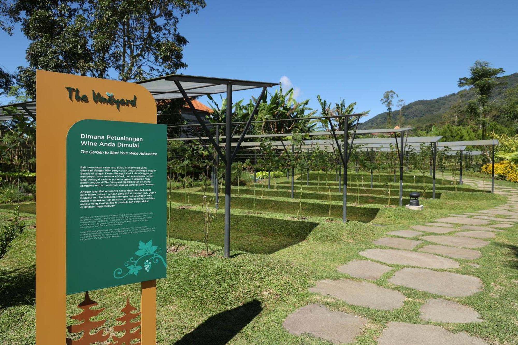 מלון Dusun Bedugul Asri מראה חיצוני תמונה