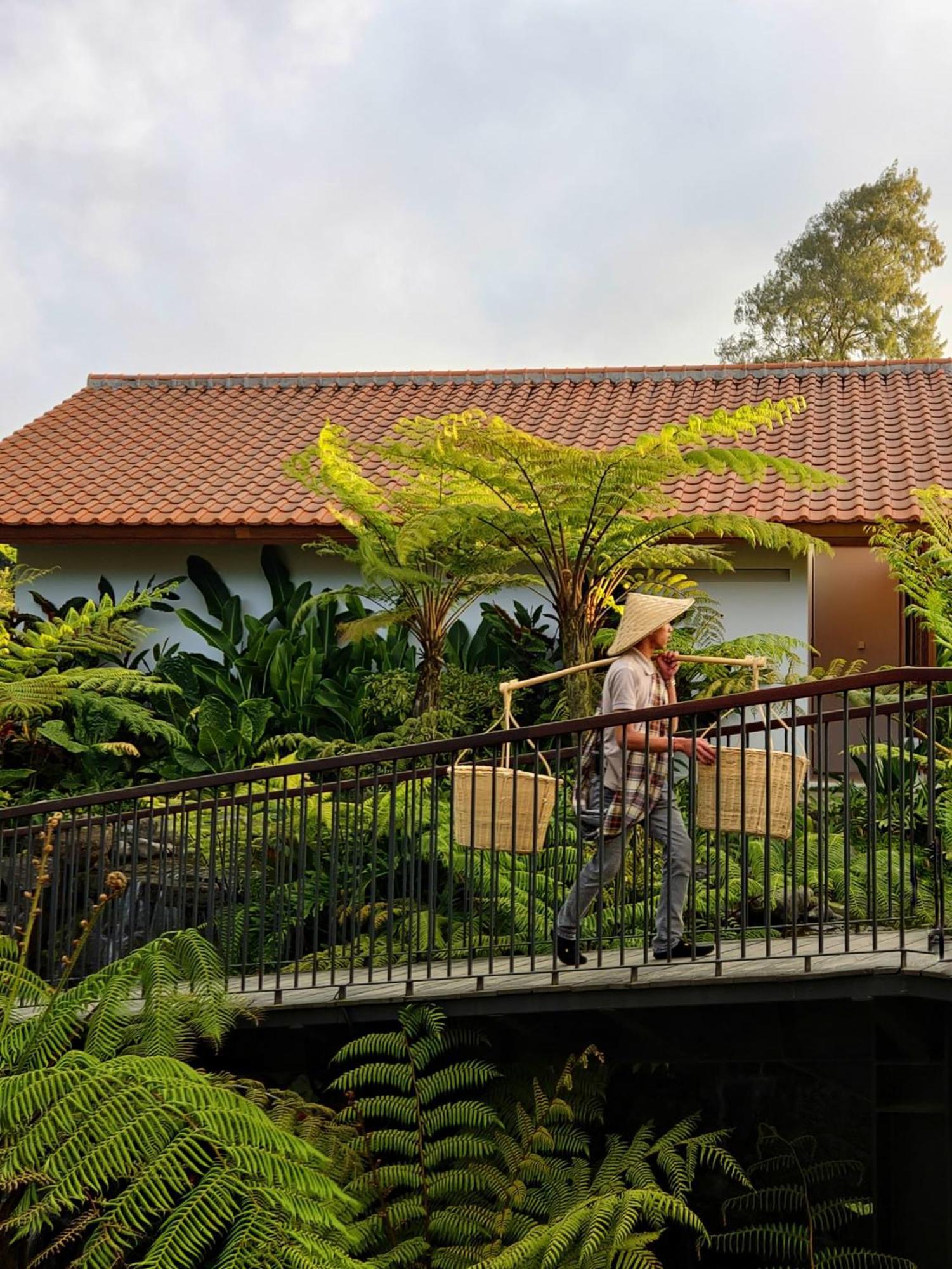 מלון Dusun Bedugul Asri מראה חיצוני תמונה
